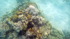 Hawksnest Reef